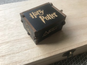 Muziekdoosjepotterimg6357