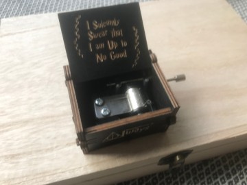 Muziekdoosjepotterimg6358